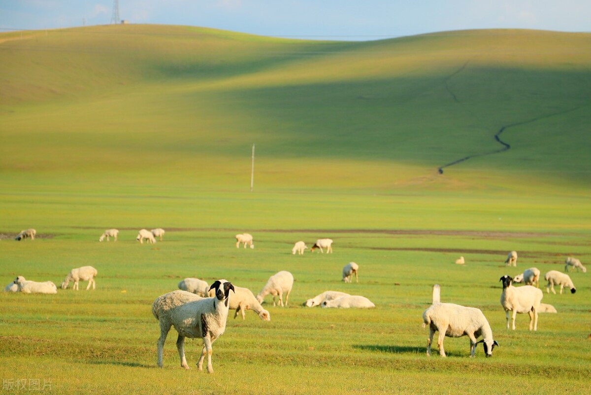 国内最值得自驾的七条绝美路线,此生必去的中国100个攻略