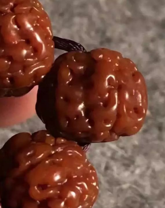 金刚菩提双龙纹和盘龙纹哪个更好,金刚菩提和小叶紫檀哪个值得盘