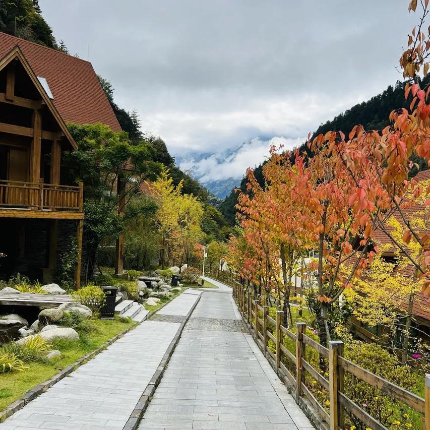 国内真正的天然温泉大全,国内真正的天然温泉排名