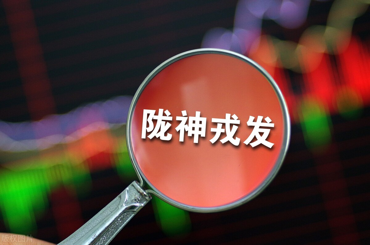 陇神戎发公司生产哪些中成药,陇神戎发种植什么药材