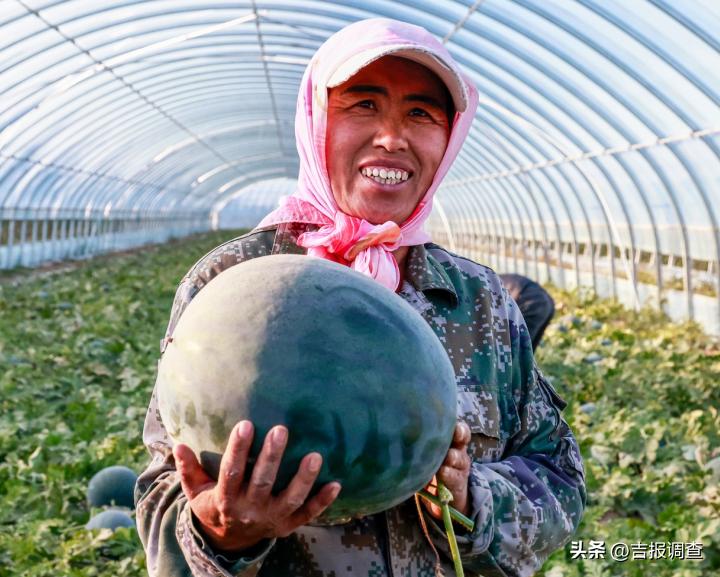 古城粮丰季，仓廪俱盈实！洮南市迈入全省前十产粮大县行列