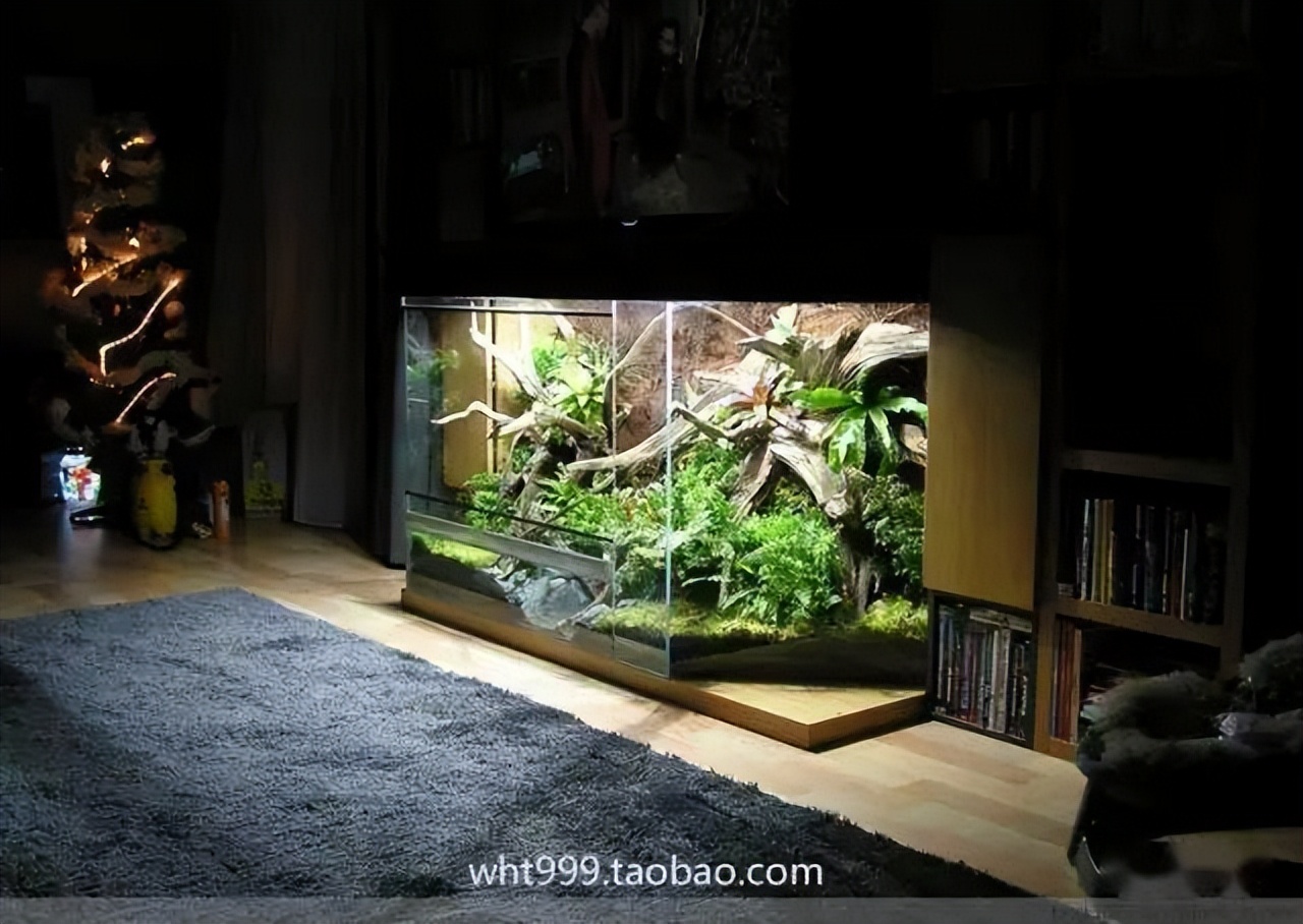 雨林缸超小,雨林缸电视柜