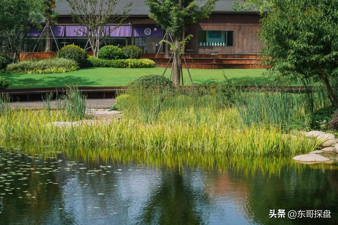 决战守护能维持多久,决战三季度全力保交付