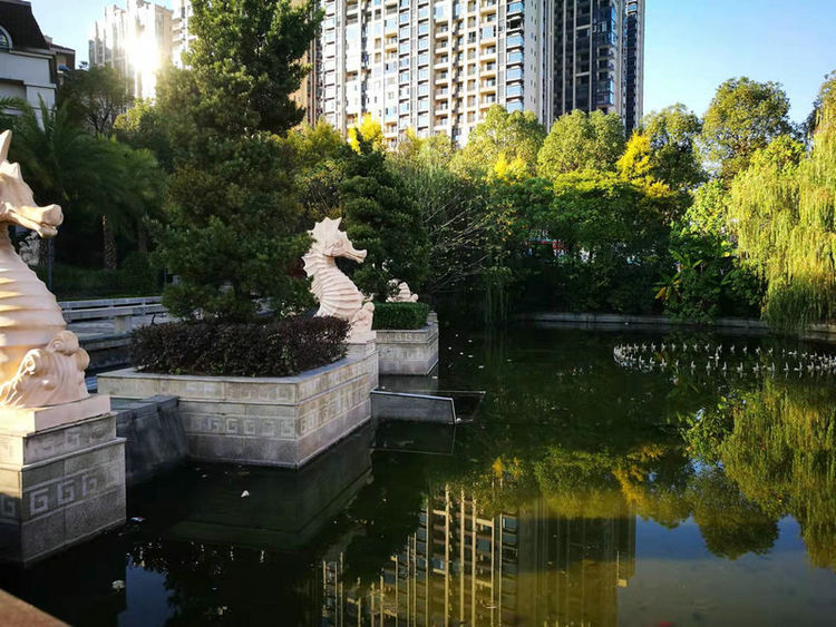 株洲市阳光新城,株洲魅力新城全景