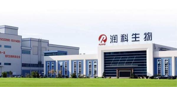 dha比较推荐的,dha无添加推荐