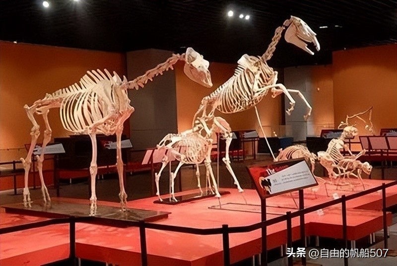 辽宁省大连市沙河口区天气预报,辽宁省大连市沙河口区酒店