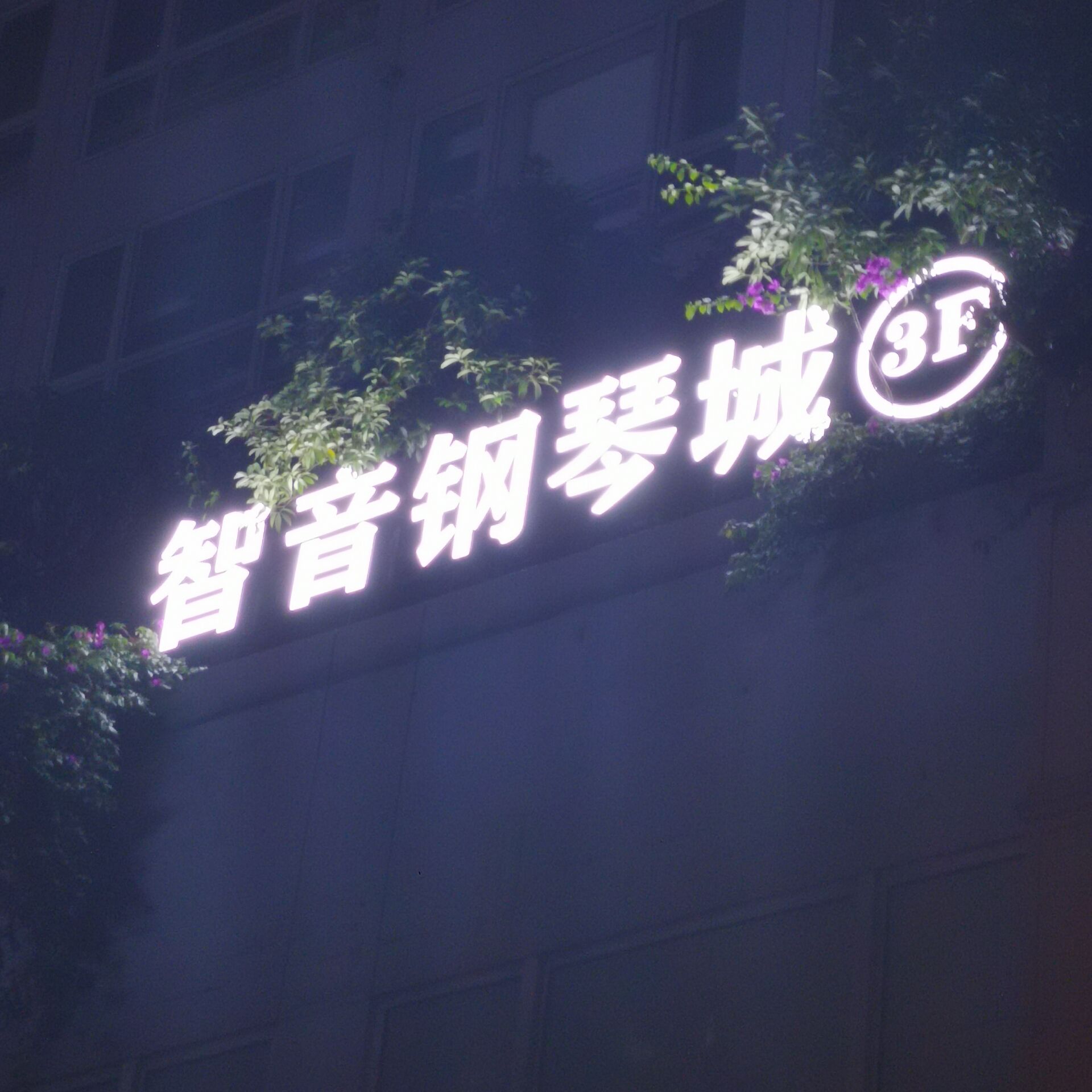 买钢琴去琴行买还是专卖店,钢琴在专卖店买还是网上买