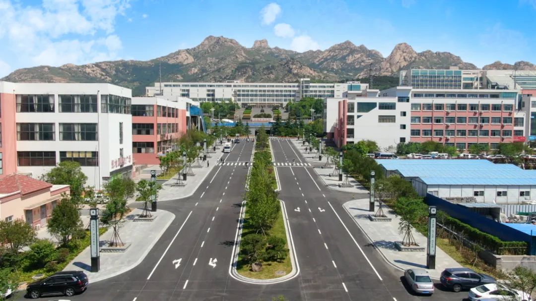 2024青岛黄海学院招聘公告,青岛黄海学院如何符合人才引进