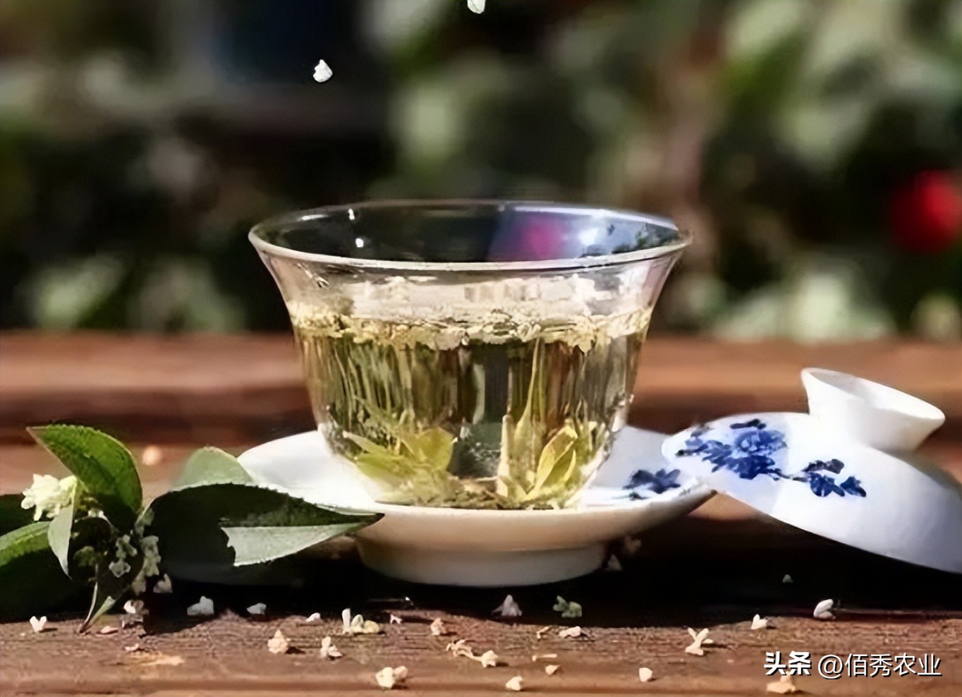 买茶时，别听商家“忽悠”，认准3个选茶标准，轻松买到天然佳茗