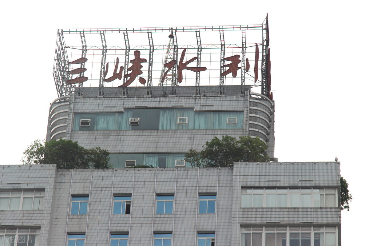 A股十大电力龙头股有哪些,a股十大行业龙头企业