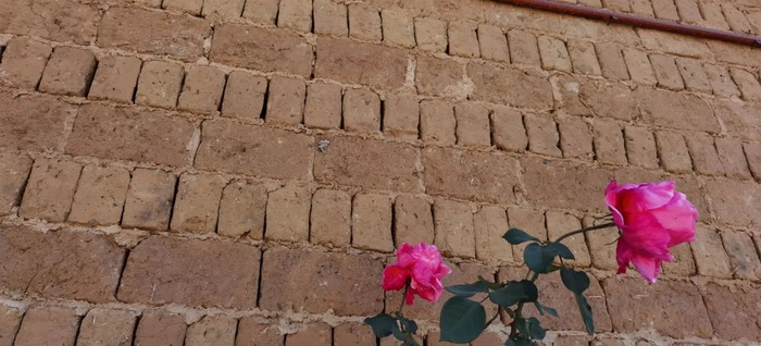 中国旅游短视频开拓者王国平，开创旅游线路短视频订购模式和美学风格及拍摄技巧