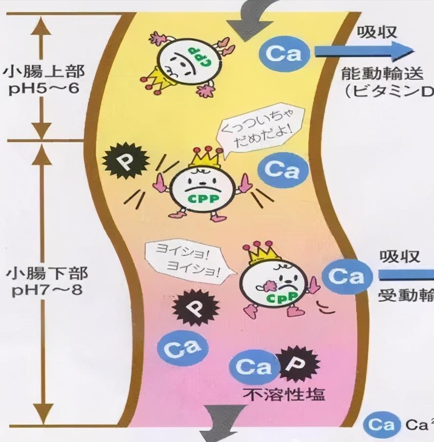 4个月宝宝今天检查说是佝偻病,怎么检查是否佝偻病