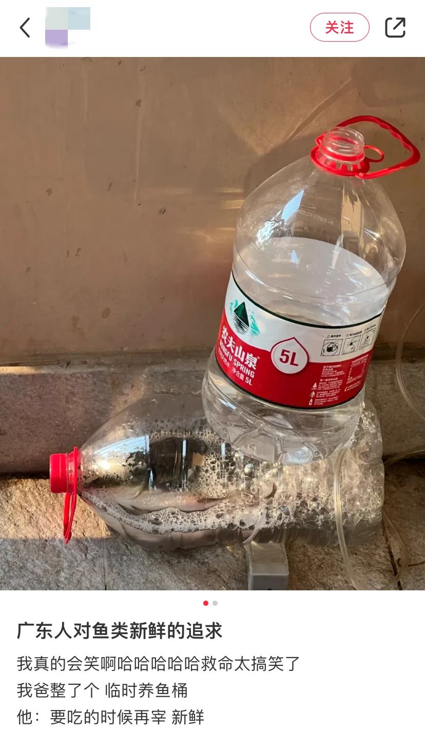 广东人每天吃隔夜菜,隔夜食材