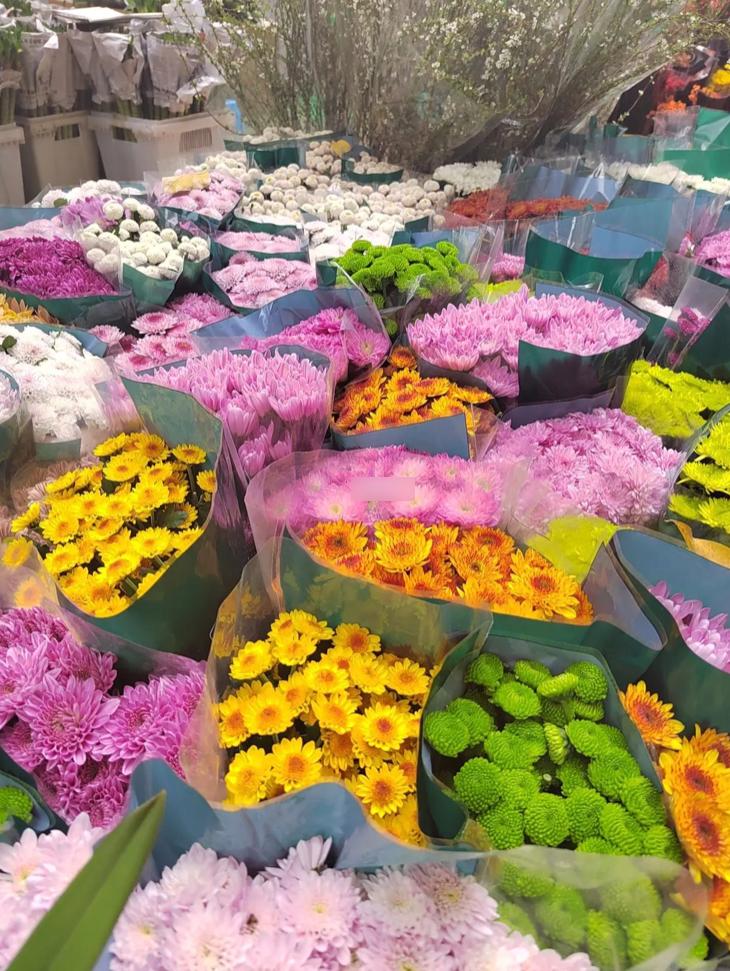 10个深圳花市，母亲节送花，不如带妈妈去看花海