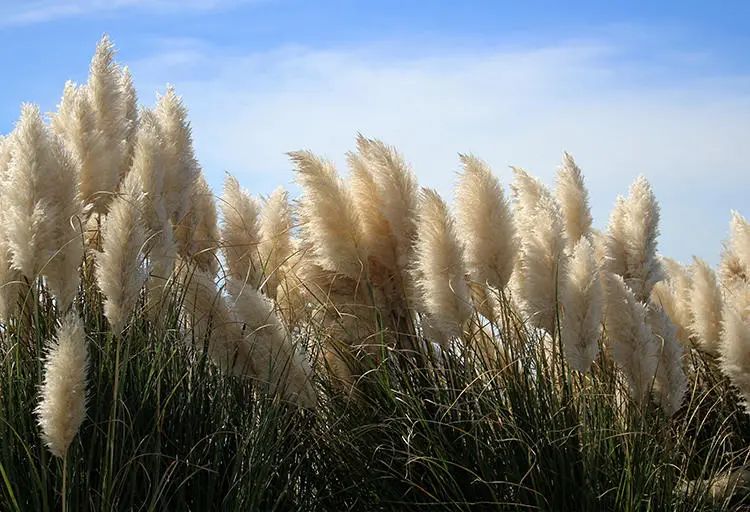 兔年取什么名字最好,兔年宝宝名字推荐