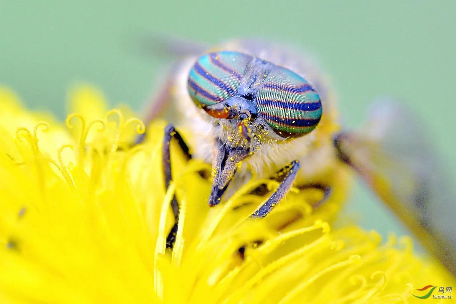 西游妖物志小说,西游诸妖录蜈蚣精