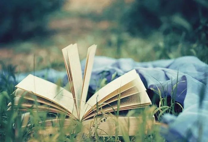 北大才女刘媛媛赚100万,北大才女刘媛媛欠款百万的语录