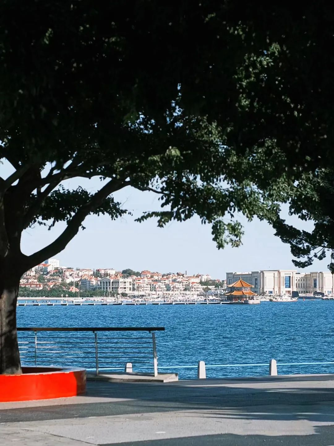 换一个角度拍出不一样的青岛,换个角度看不一样的青岛