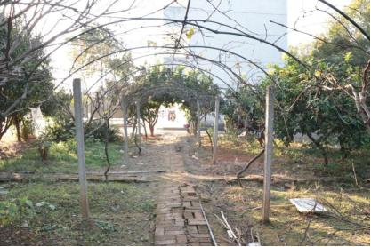 办良心教育筑绿色校园——访衡阳茶山坳镇复兴小学校长成小运