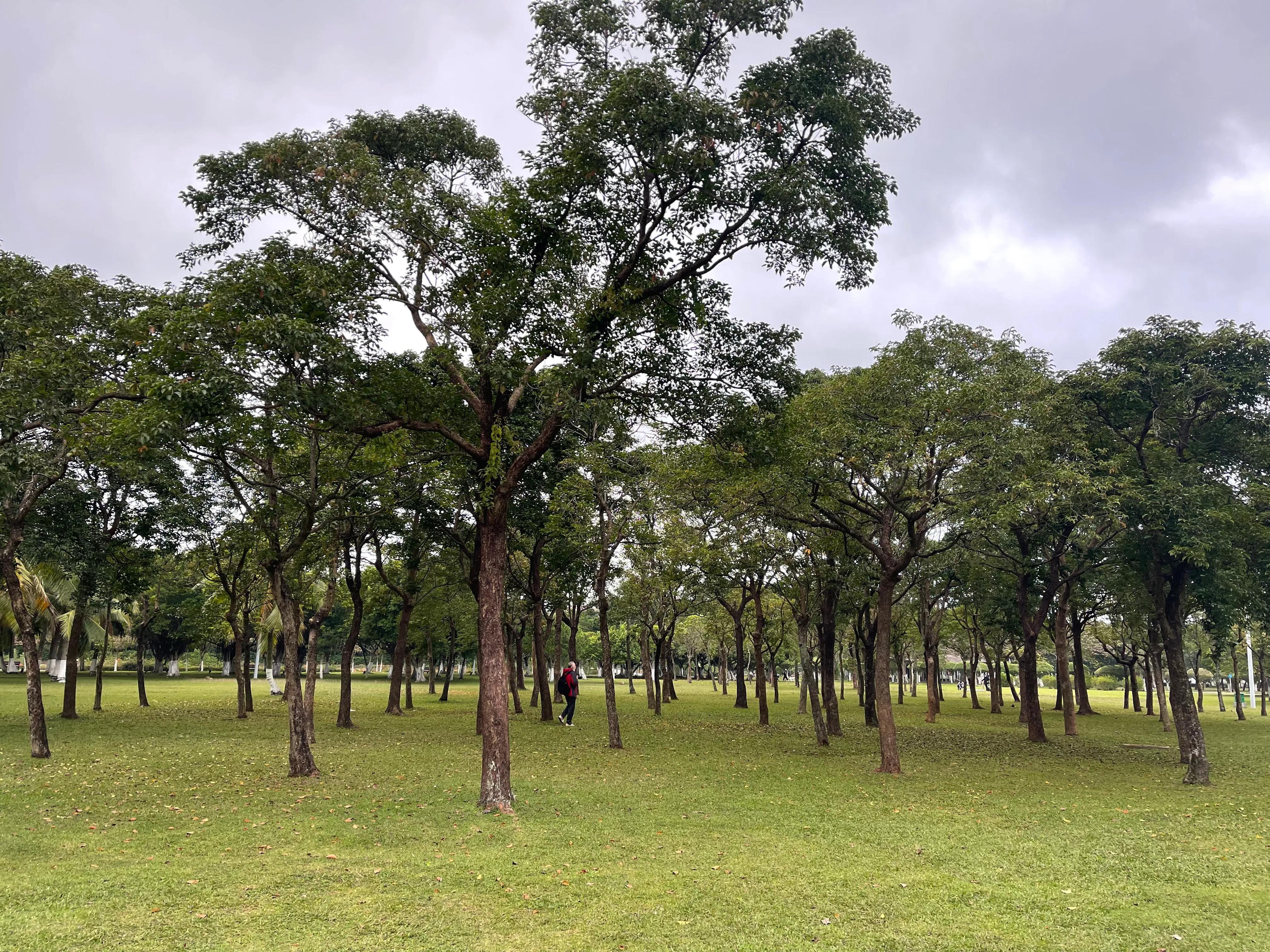 环海南岛自驾风景,环海南岛旅行路线