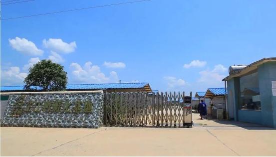 盛大金禧携手芷民丰助推乡村振兴高质量发展