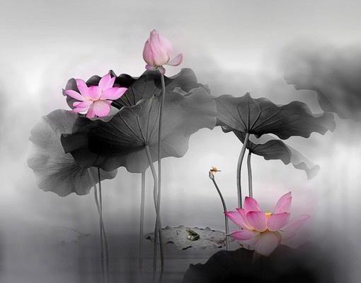 让你内心变强大的十句话,如何使内心变得更强大