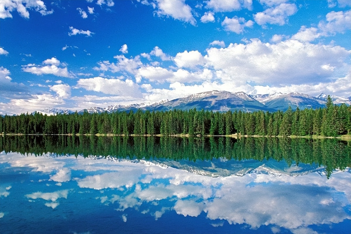 女人对男人过度精神依赖什么表现,当女人对你精神依赖是什么表现