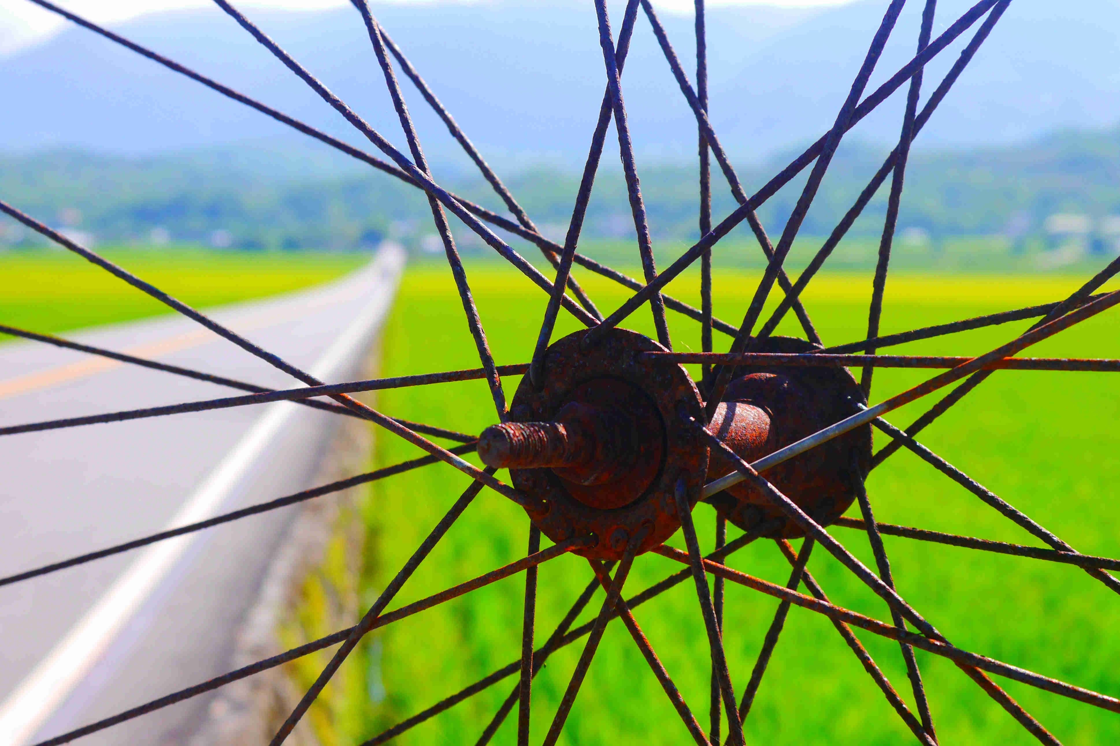 世界上根本没有真正的感同身受,世界上没有什么真正的感同身受