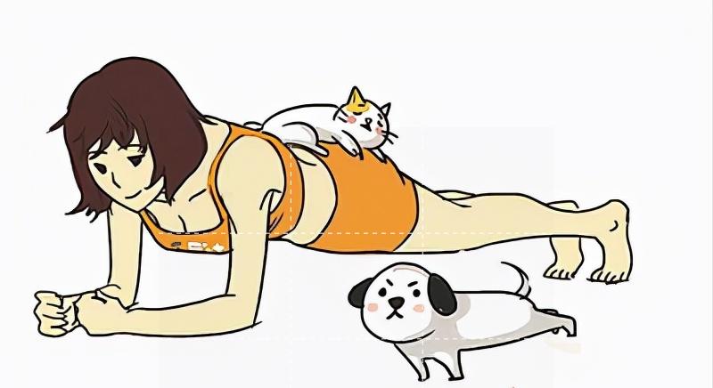 平板支撑一招搞定,各种明星平板支撑视频