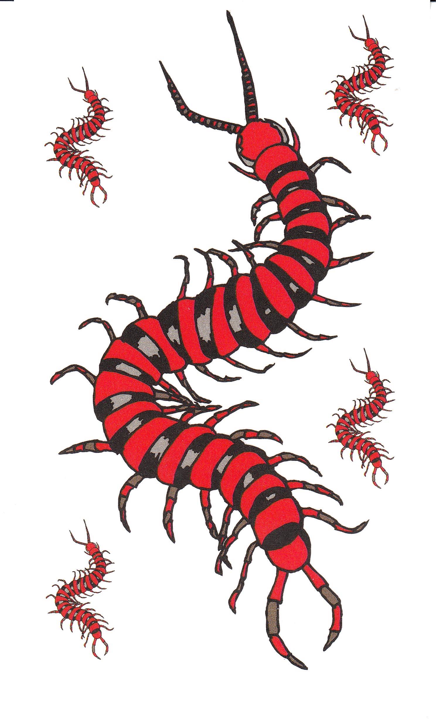 湘西致命巫蛊术大揭秘,湘西致命巫蛊术揭秘