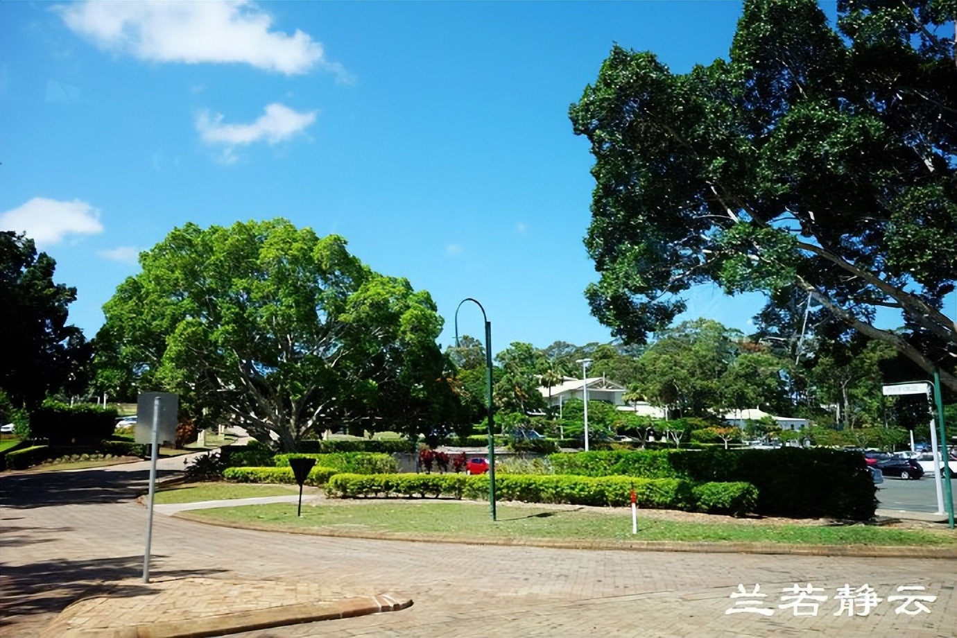 在“神仙湾”看澳洲人炫豪车，简直像车展