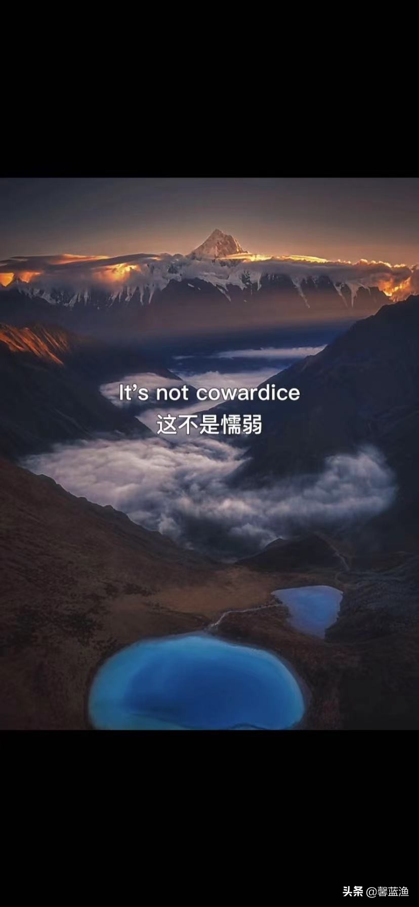 喜欢的视频无法保持和复制链接,喜欢的视频保存不了