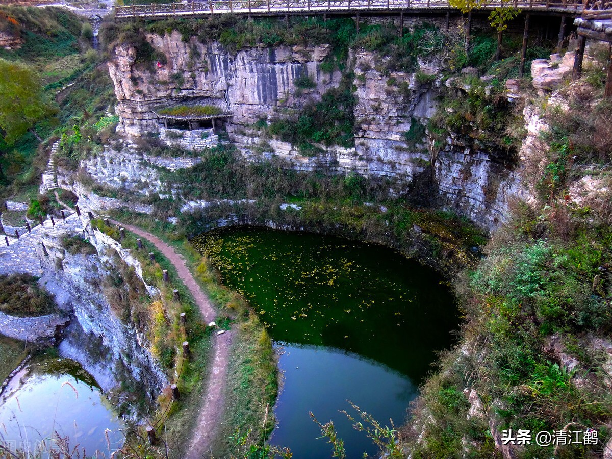 种子有哪些传播途径和方法,种子的传播方式七种