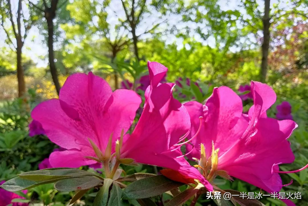 随笔世间百态,一句时光随笔