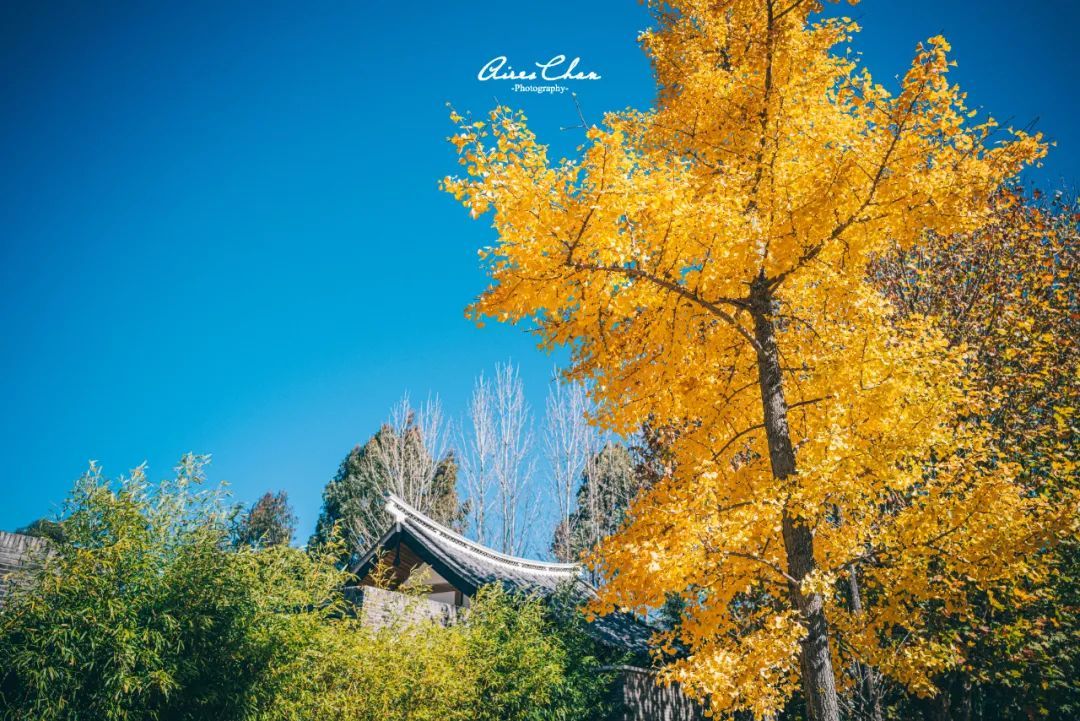 丽江悦榕庄酒店用餐,云南丽江悦榕庄酒店价格