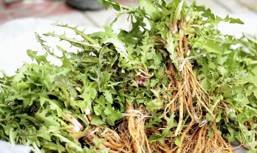 醉美偏坡美食团购,醉美偏坡海鲜烧烤