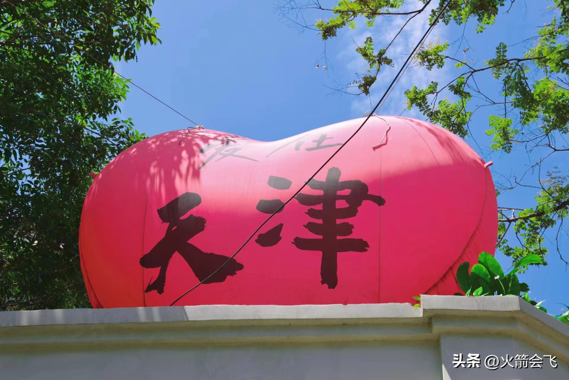 天津旅行攻略七日游价格多少,12小时极限游天津