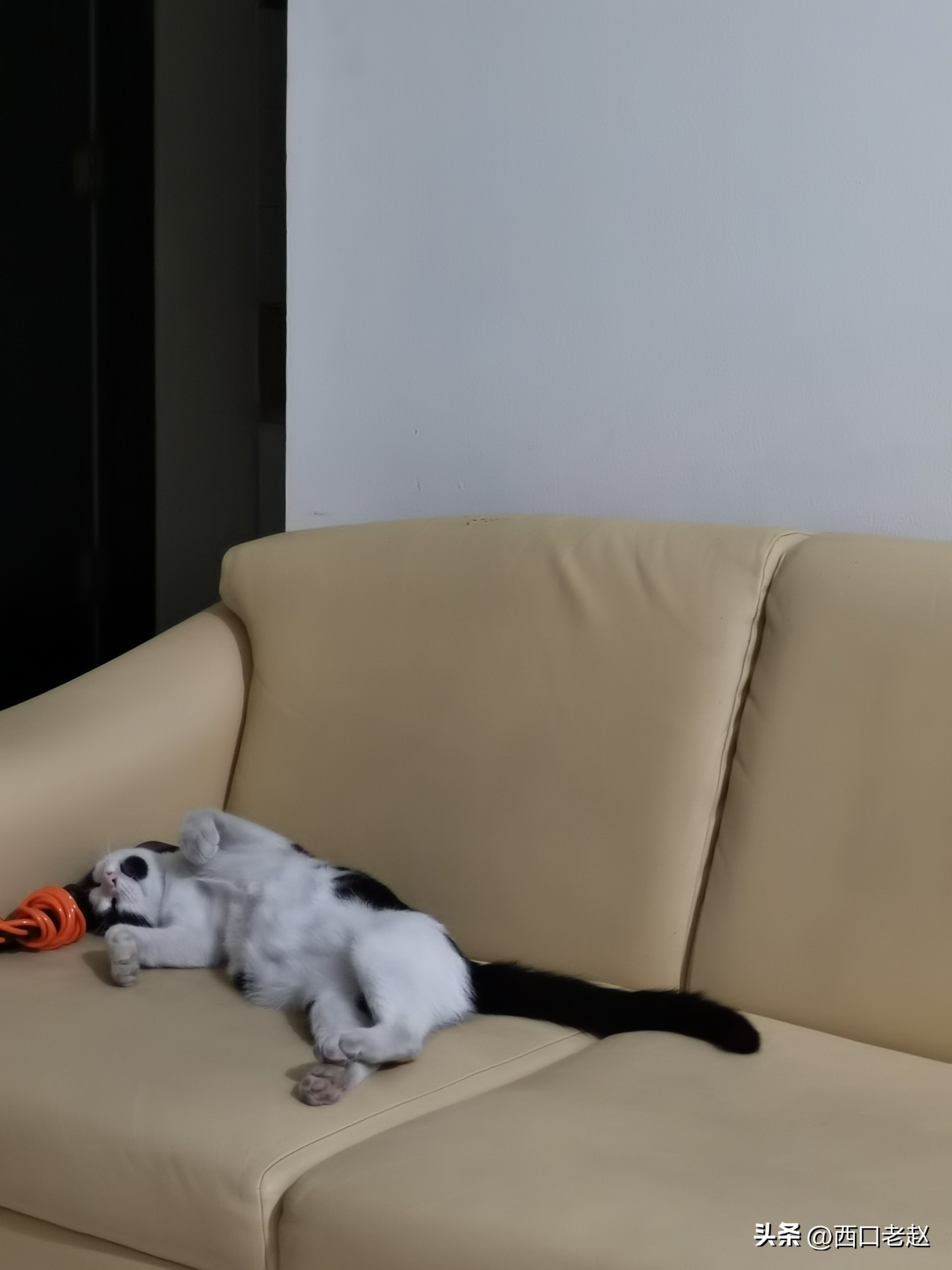 行走在国外的岁月33——致敬我的海外生涯