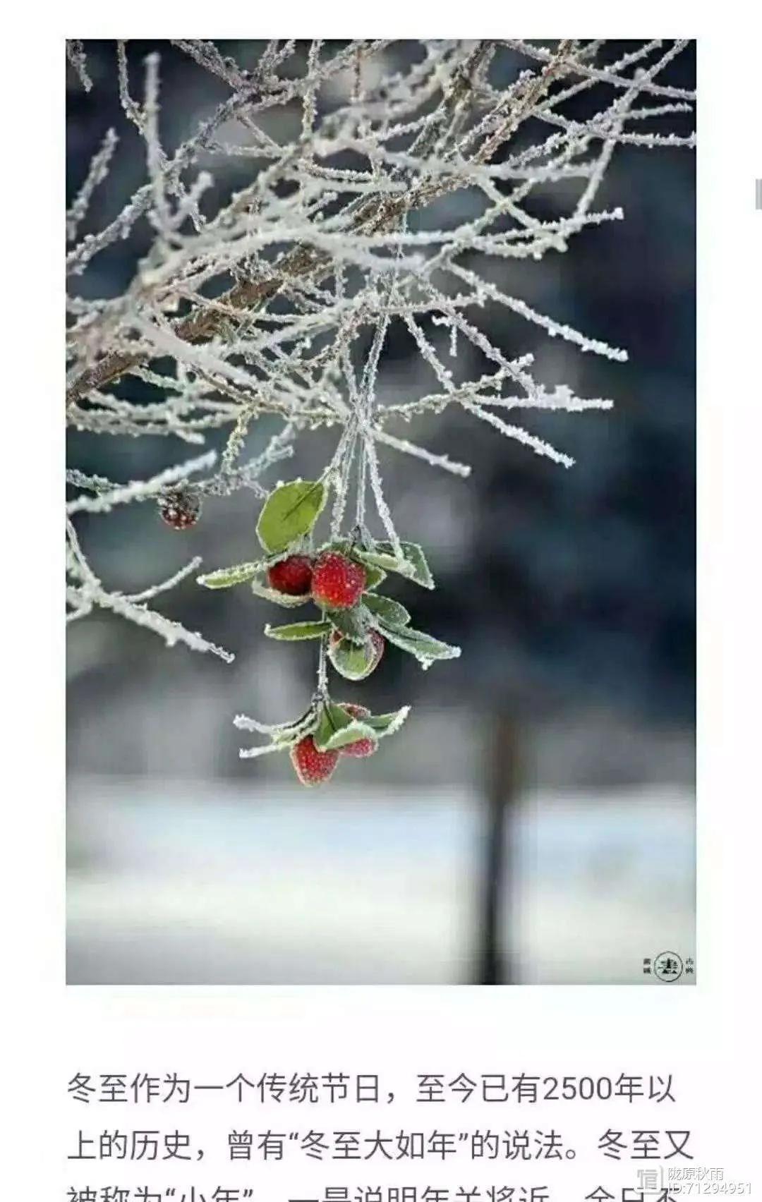 描写荷花的现代诗11首,描写荷花的美诗句有哪些