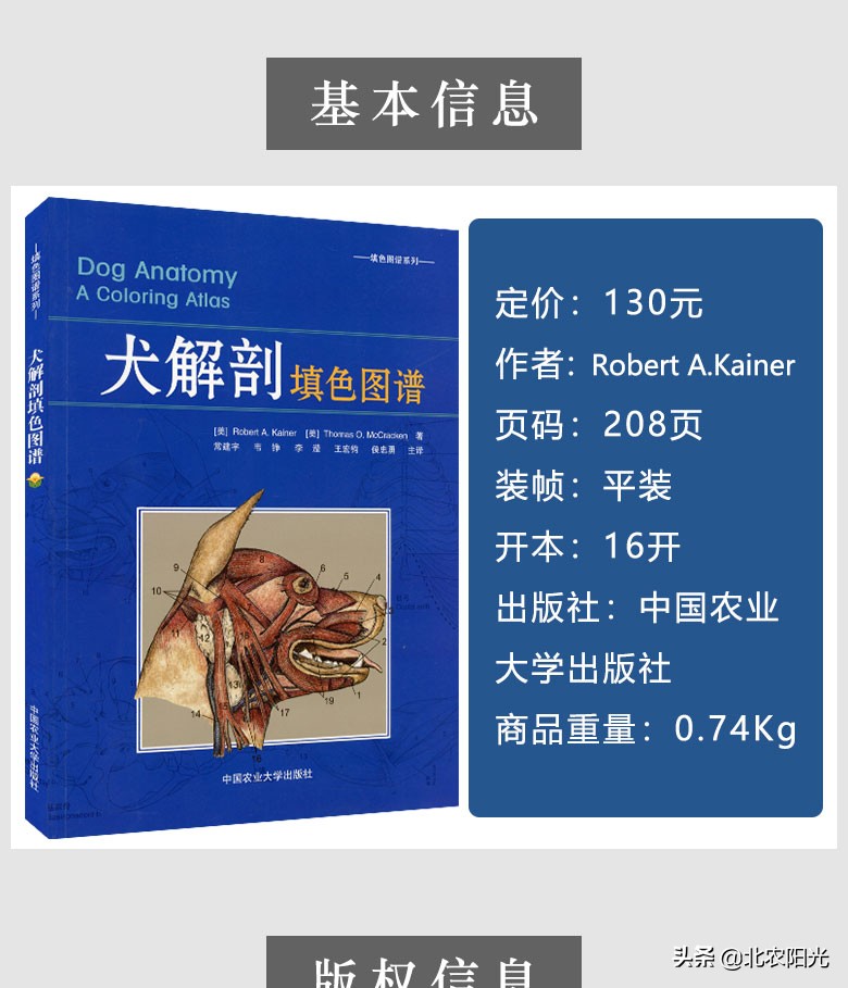 犬解剖图手绘,犬解剖生理3d图