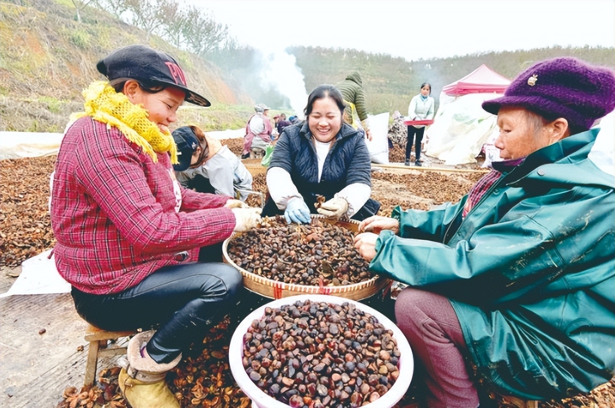 国家发钱了!突破15亿元,湖南、广东和浙江额度惊人,3类人优先