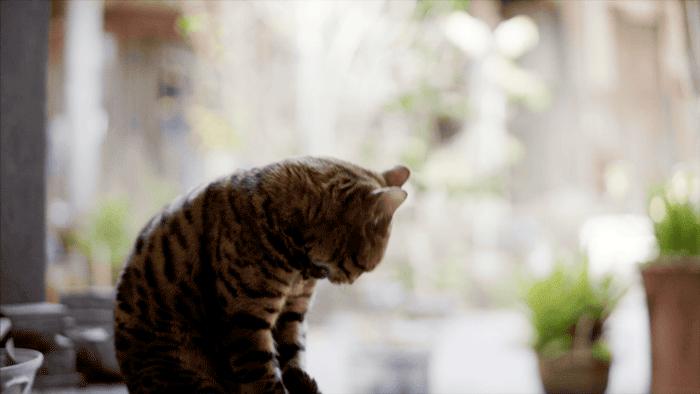 一种境界一种胸怀,独处的唯美境界