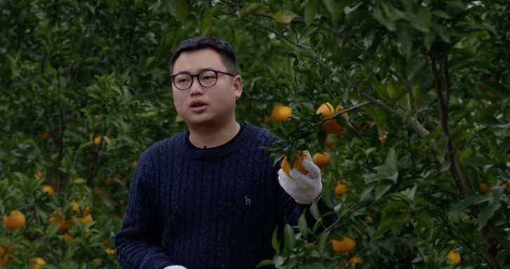 京东增添幸福感,京东的成功帮助了多少家庭