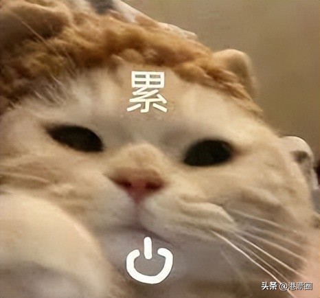 一天丢1.8万亿！今天全港人都被他坑了