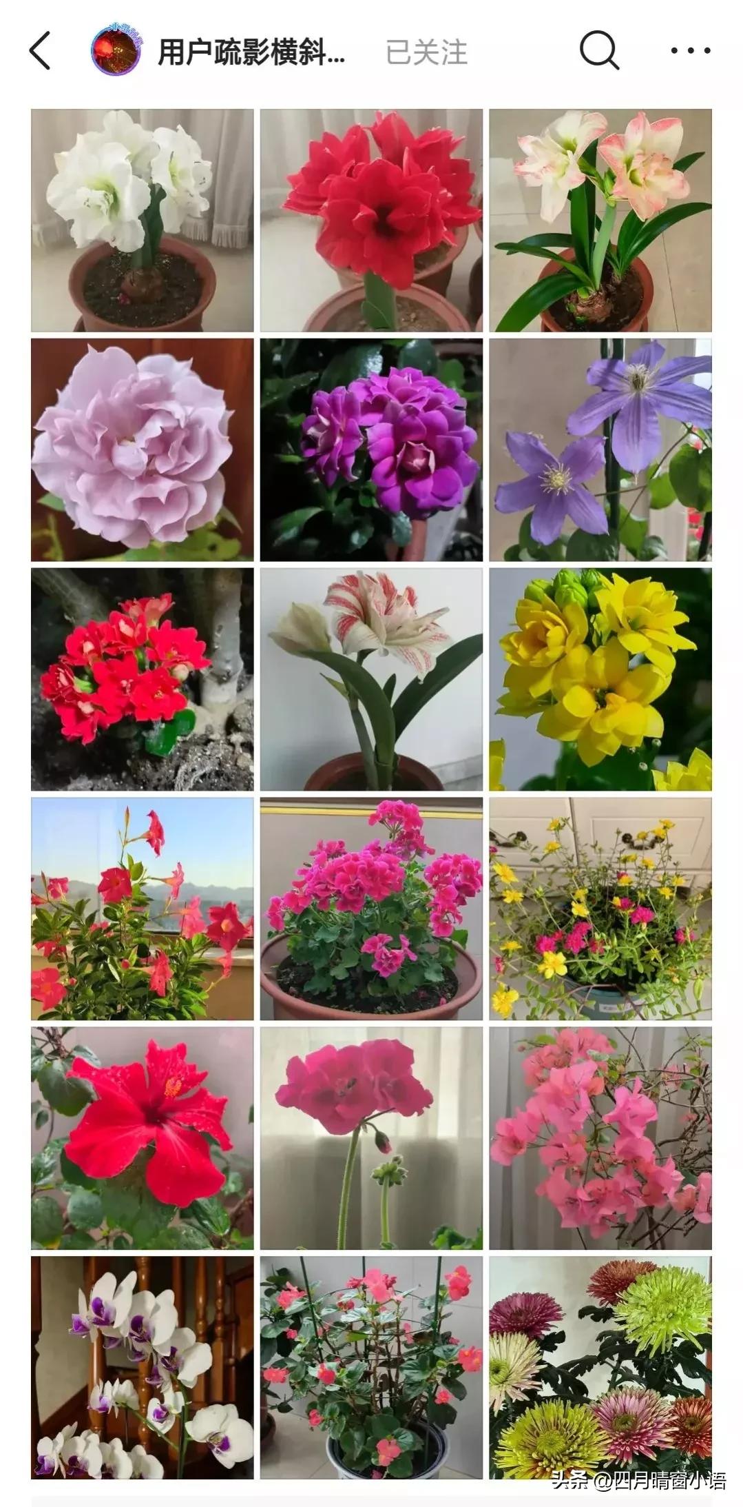 你的时间在哪儿你的收获就在哪儿,你的心在哪时间就在哪