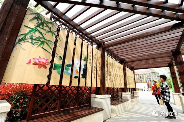 威海森林氧吧,夏天威海张村附近的公园