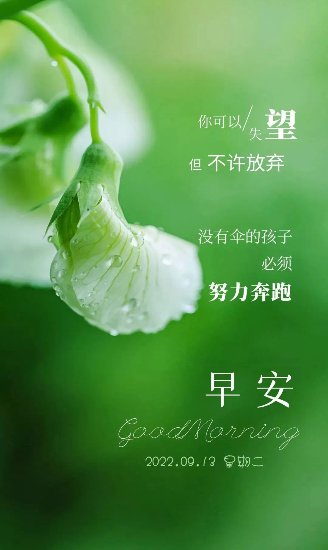 早安语录正能量朋友圈短句子图片,早安心语图片2022