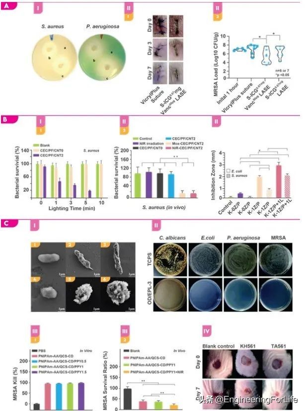 《AM》综述：对具有抗菌性能生物粘合剂的深度剖析