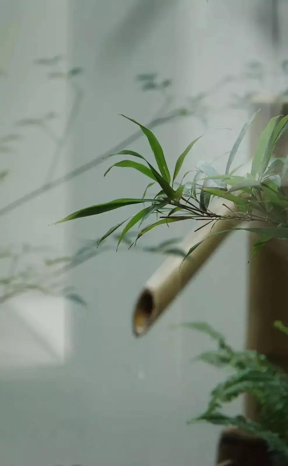 涔℃潙鐢板洯鐢熸椿鍙よ瘲鍗侀,鍙よ瘲鎻忕粯鍚戝線鐢板洯鐢熸椿