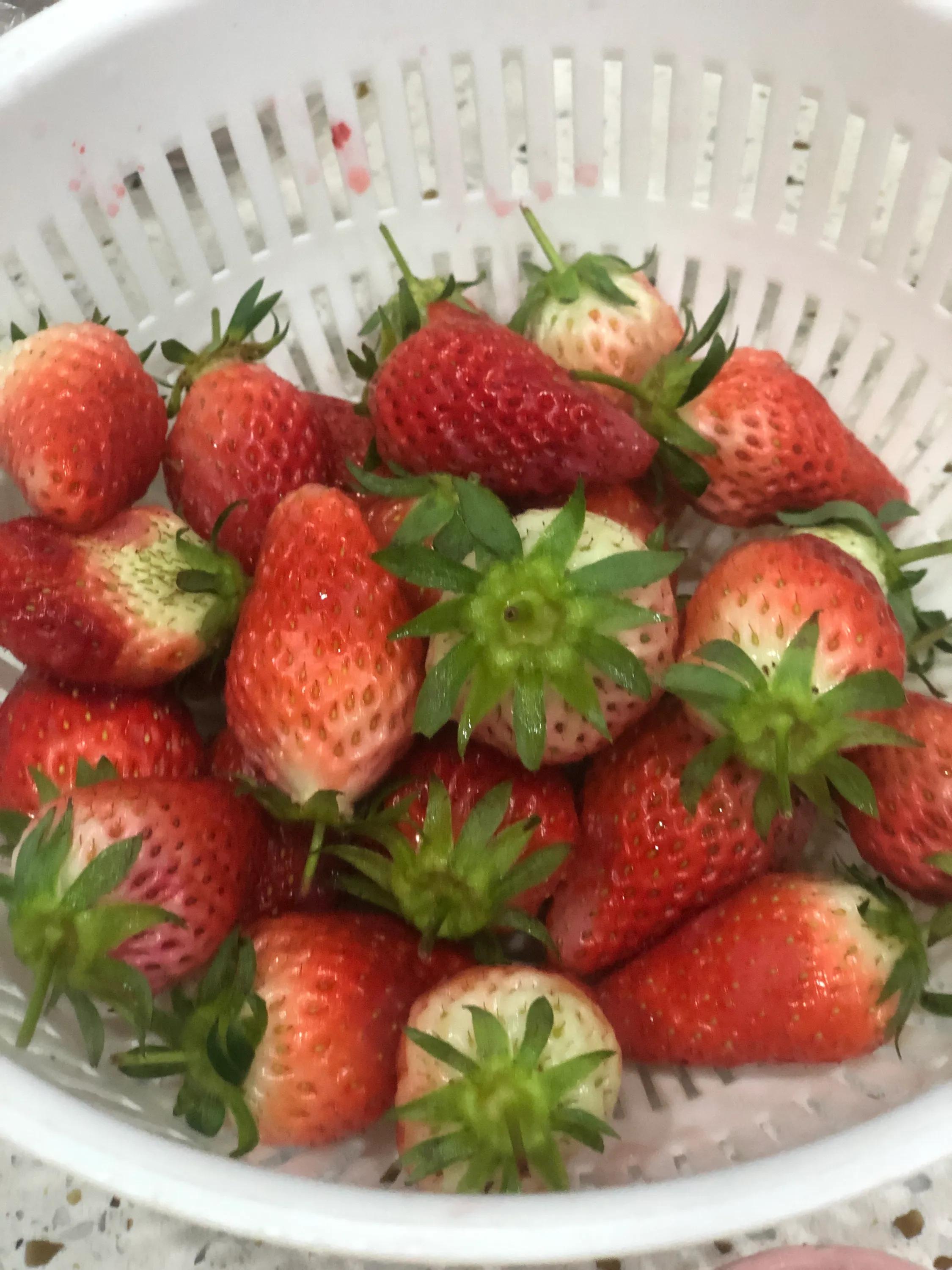 自制草莓酱发黑怎么回事,自制草莓酱热装罐要趁热盖上吗